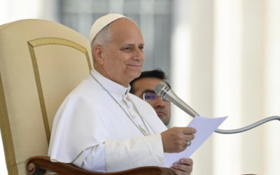 PAPIEŻ LEON XIV: NIECH LEKCJE RELIGII POGŁĘBIAJĄ POZNANIE BOGA